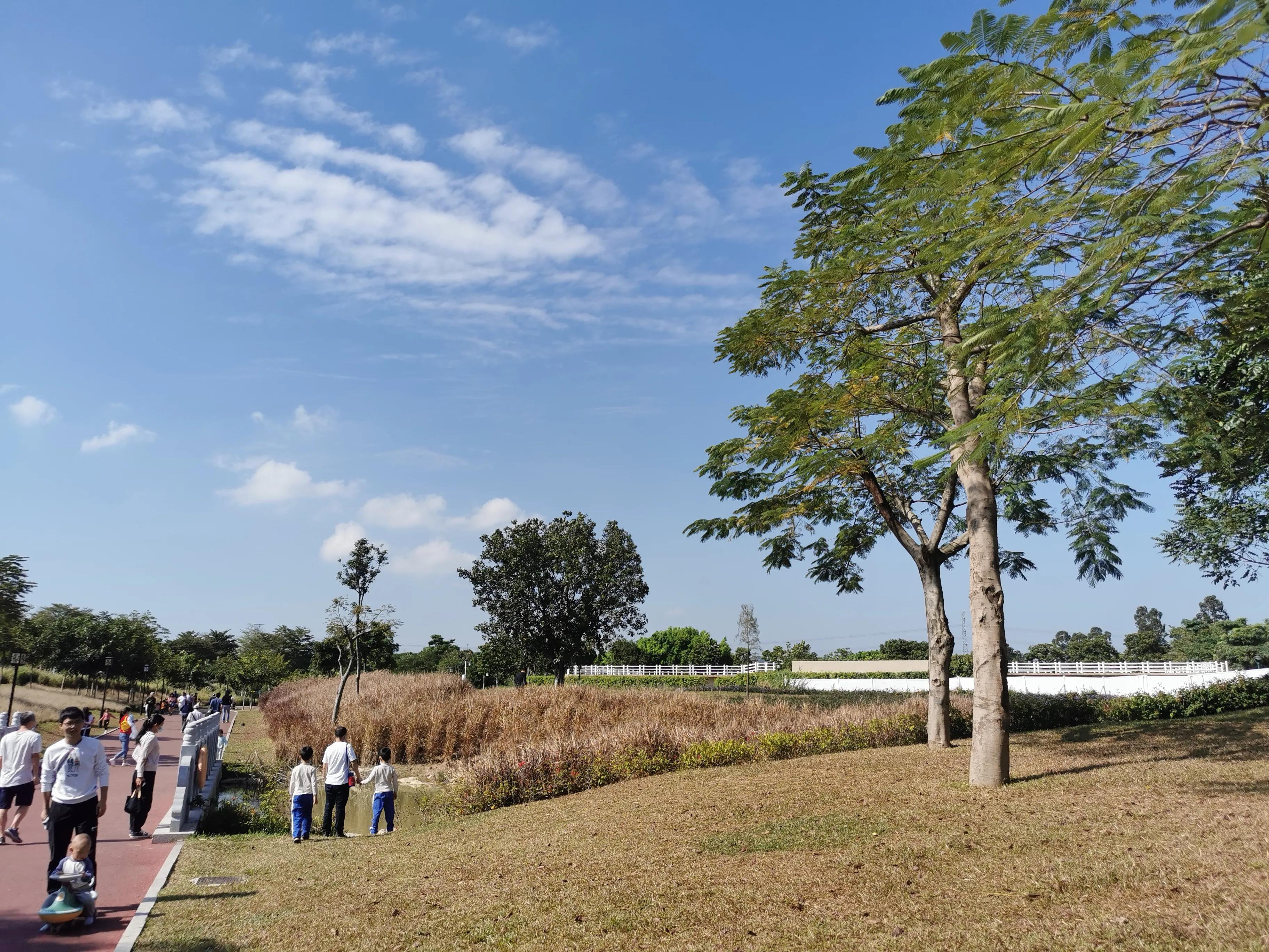 深圳石岩一日游必去的地方,深圳石岩湖一日游攻略