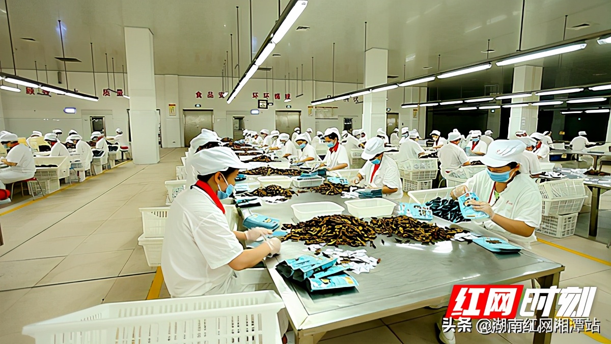 湖南宾之郎食品科技有限公司好吗,湖南宾之郎食品科技有限公司活动