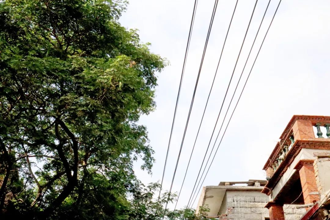 咱厝人的古早味！陈埭坊脚村的百年饼店，一块绿豆饼，传承六代人
