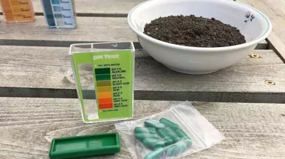 买测酸性碱性的试纸,ph试纸怎么测土壤酸碱度