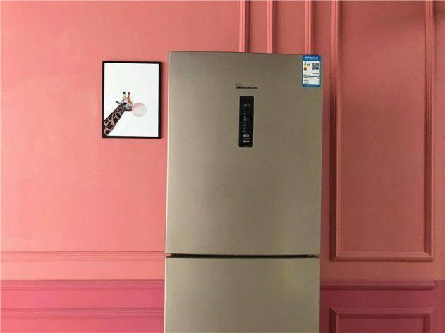 怎么选小天鹅冰箱最好用,小天鹅冰箱测评