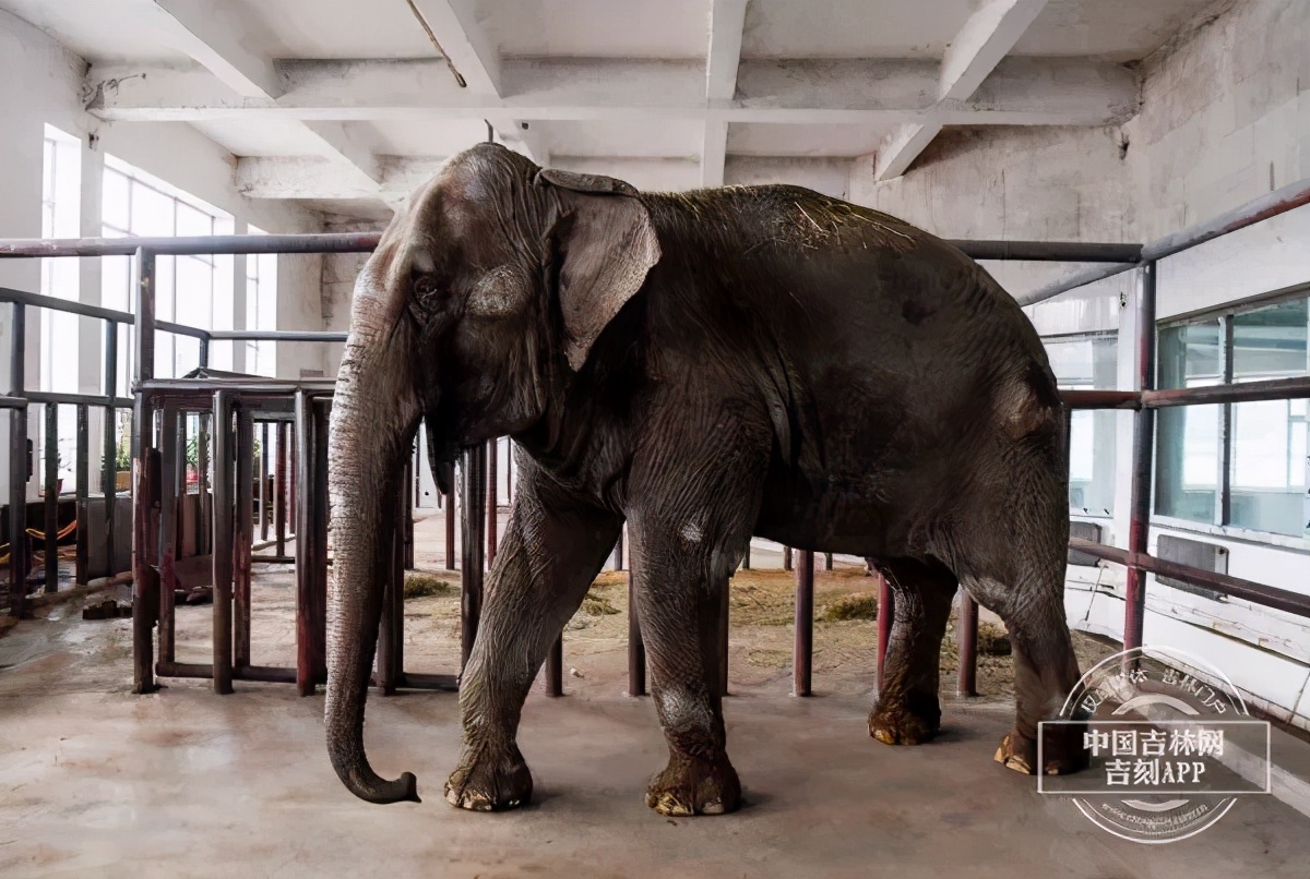 文化氛围争第一，净月的路子有多野？