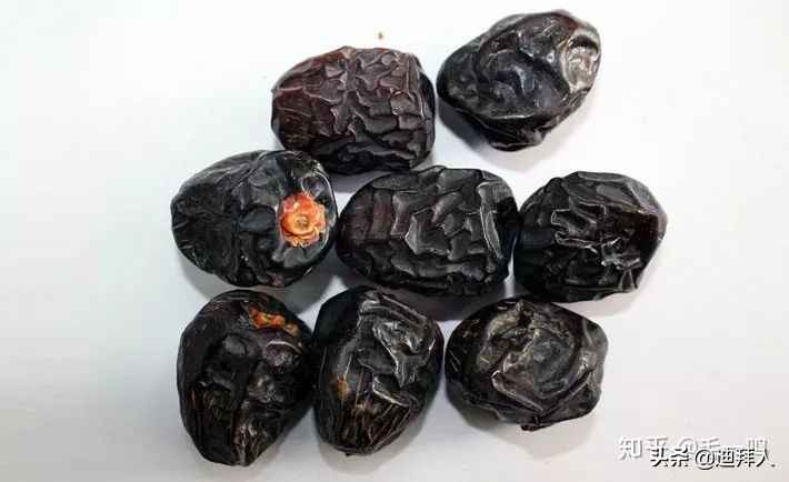 迪拜种一棵树,迪拜养一棵树成本