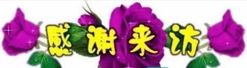 冷极“九九消寒诗”七律20首作者/悾虚编辑/戴明荣