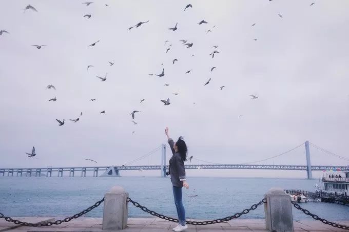 大连回到20年前,大连回到了故乡烟台