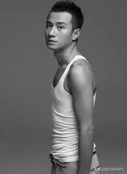 演员转型为导演的明星,明星改行当编剧