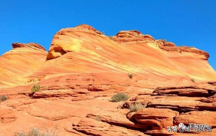 荒野乱斗流彩伊芙强度,荒野行动榴弹怎么用