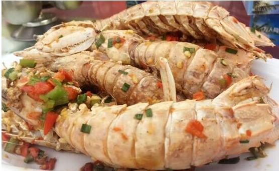 带你踏上三亚之旅,跟着我的脚步去旅行歌曲