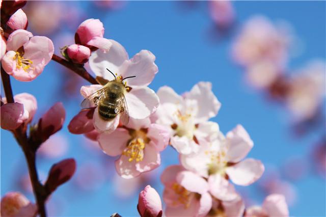 苏州科技大学与陕西科技大学对比