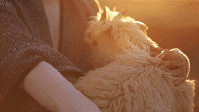 日本人冬天穿什么保暖,日本人冬天穿秋裤吗