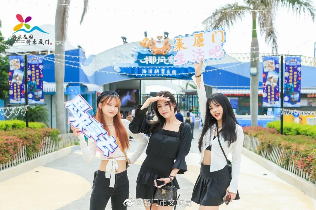 直奔厦门,厦门夏日旅行攻略