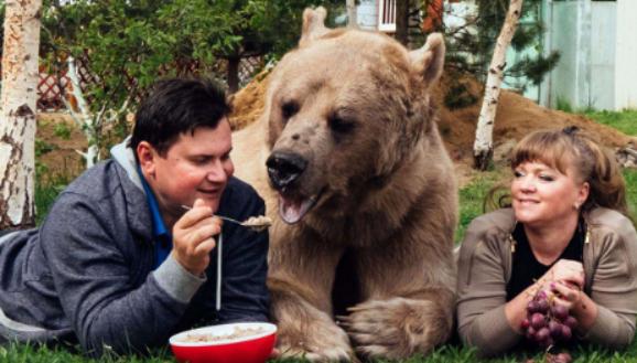 速卖通俄罗斯现状,速卖通在俄罗斯的市场份额