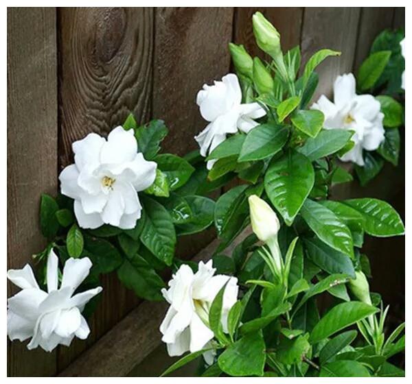 武汉恒发科技有限公司怎么样,武汉恒发科技有限公司简介