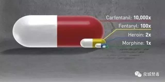 【清源断毒净土西安】“尼”是谁？——芬太尼离*品毒**有多远？