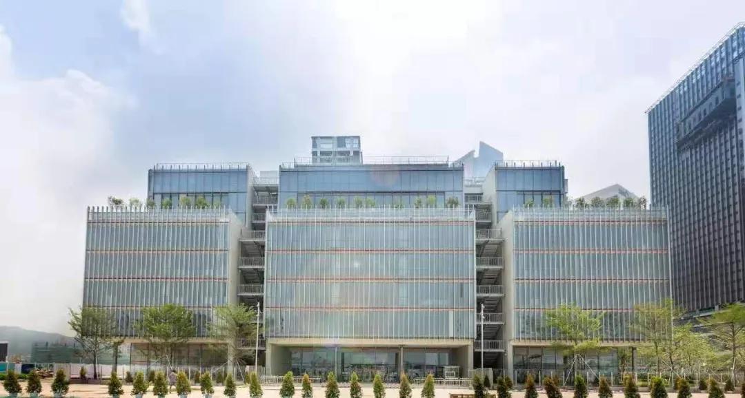 深圳荟同国际学校出了什么网红,深圳荟同发布探校信息