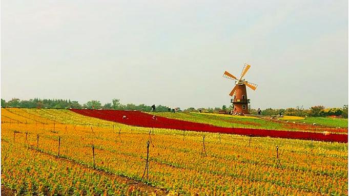 合肥周边有哪些值得去看的风景,合肥最迷人风景区在哪里