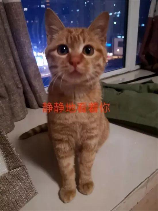 春运铁路携带物品规定,铁路春运禁止和限制携带物