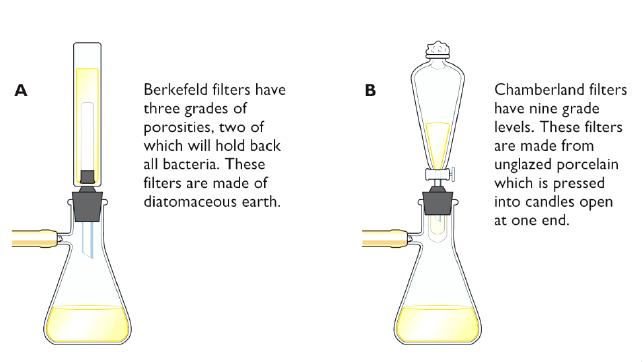世界第一例病毒是什么,第一个病毒是怎么诞生的