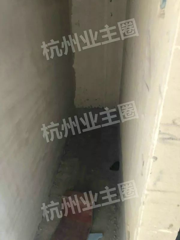 绿都什么意思,绿都包括哪些绿