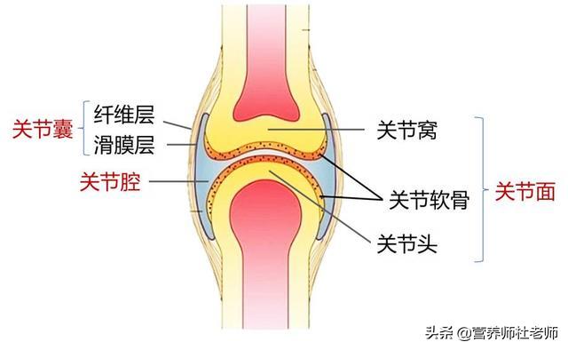 钙片和牛奶哪个含钙高更容易吸收,儿童补钙牛奶和钙片哪个好