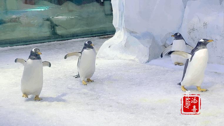 高铁出游攻略江浙沪,高铁直达的周末游