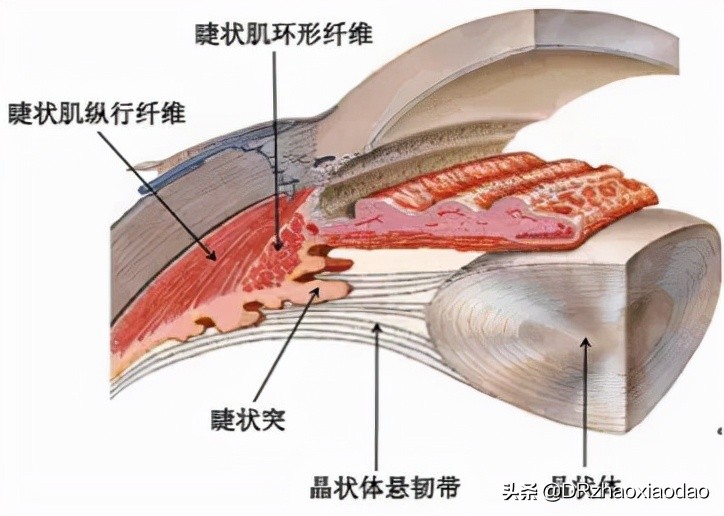 视力1.0+正常吗,视力1.0+能降低眼睛度数吗