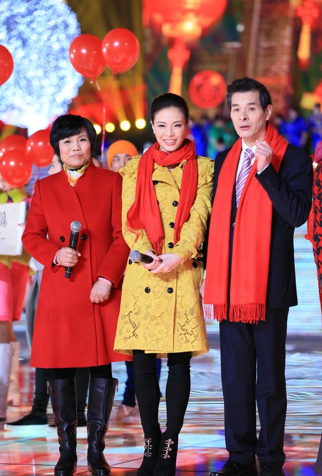 跳水女运动员退役央视,跳水一姐李娜现在状况