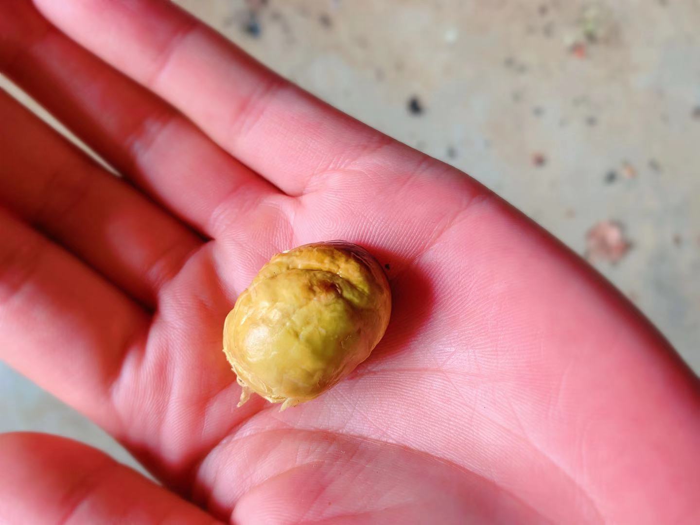 农村7岁小孩在做什么,7岁男孩回家玩什么