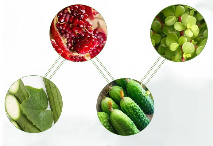 让男人戒掉抽烟喝酒,让男人戒掉烟酒