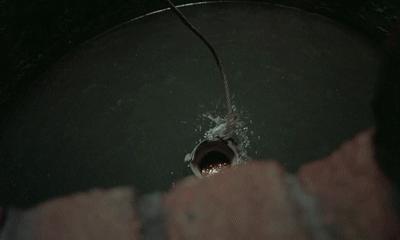 电影海狼剧透简介图片,老电影《海狼》海报