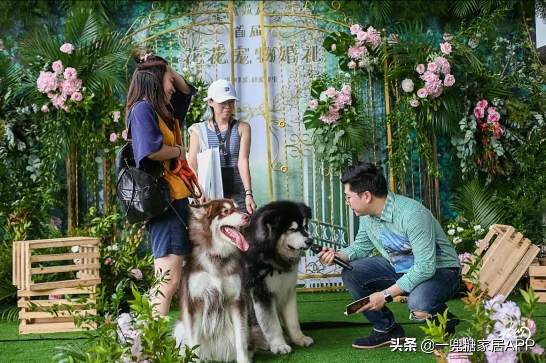 绉嶈崏鐢熸椿鏂瑰紡,绉嶈崏缁囧竷