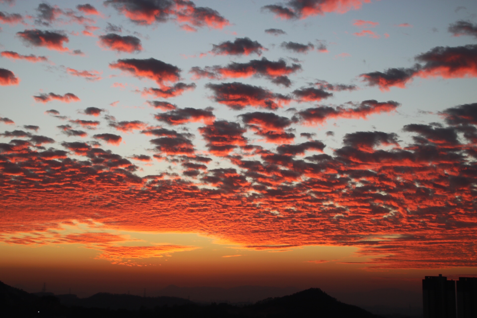 快收藏|昨日晚霞仙子跳起了霓裳羽衣舞惊艳了整个晋江朋友圈