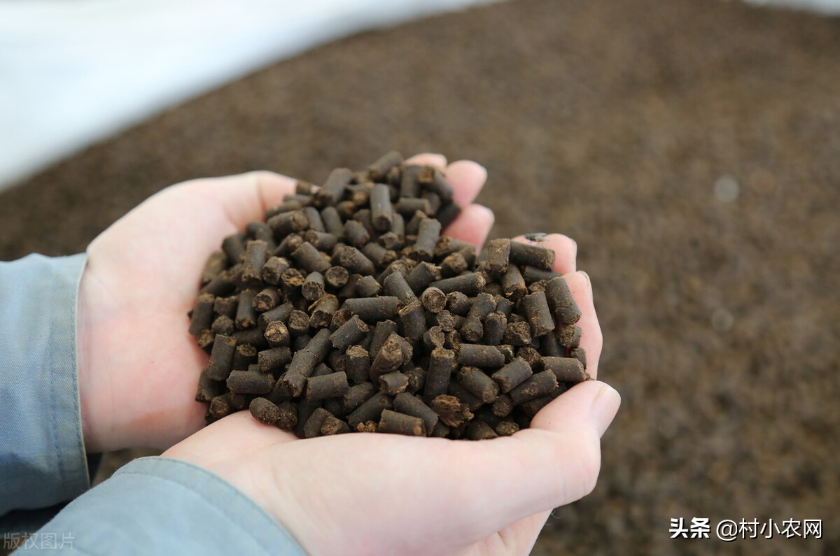 农村创业致富门路有哪些,返乡创业新农人有哪些创业项目