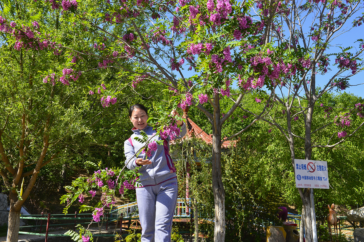 辽西旅游必去十大景点,辽宁朝阳风景区排名前十