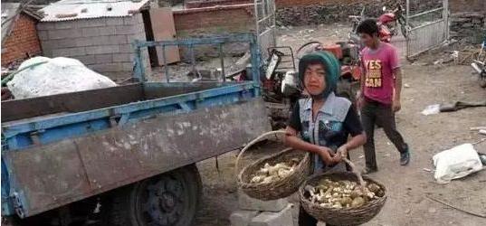 ps100个笑死人的恶搞p图,ps最有意境的恶搞教程