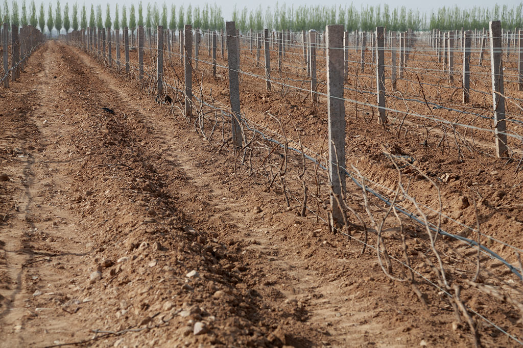 宁夏立兰酒庄价格,宁夏立兰酒庄创始人