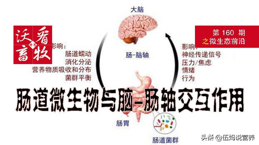 苏大强阿尔茨海默症症状,苏大强得了阿尔茨海默症