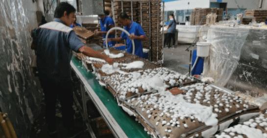 SAWALI我们的品牌我们的情怀