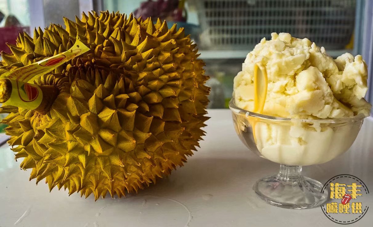 广东省汕尾市海丰公平镇,海丰公平哪里最好玩