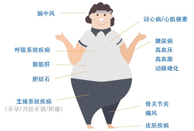 瘦子永远不懂胖子的烦恼,瘦子永远体会不到胖子的痛苦