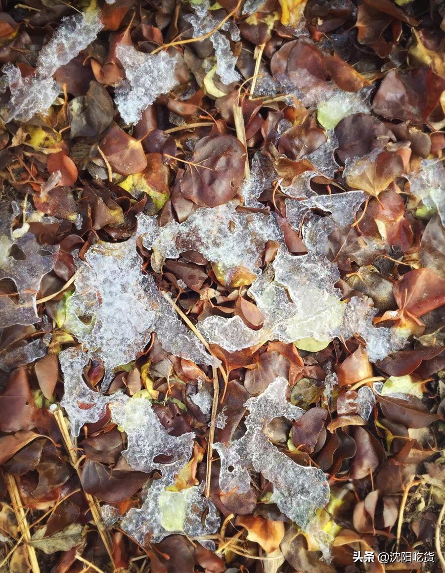 南昌五一周边野餐,五一放假别乱跑