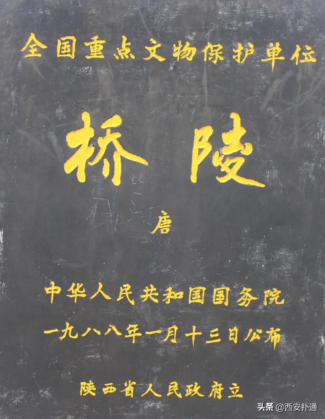 蒲城县好吃的地方推荐晚上,蒲城吃的最多的地方