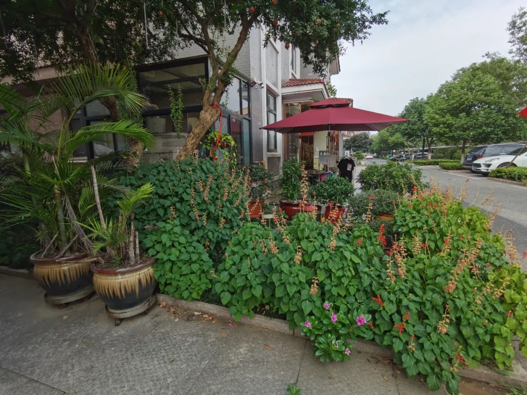 无锡江阴美丽田园,庭院深深美如画