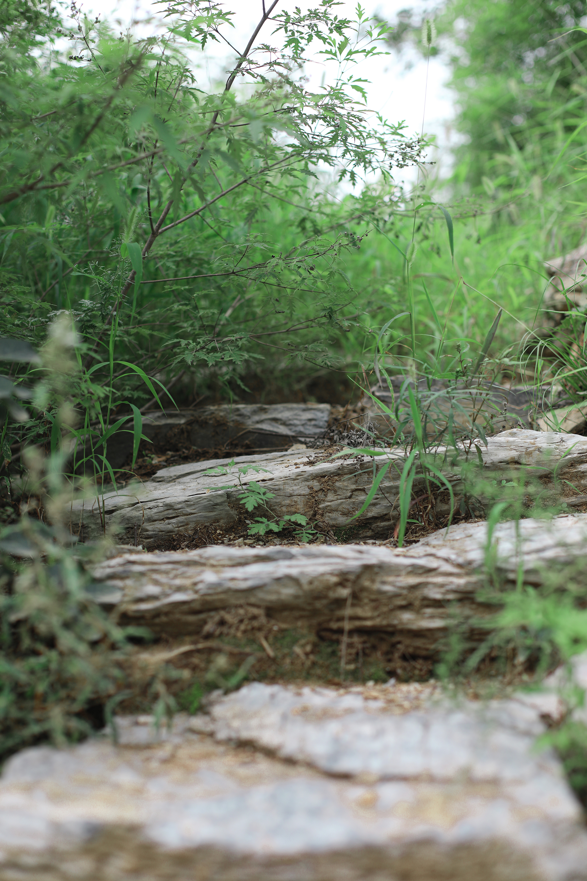 京郊房山登山路线,房山东港登山步道