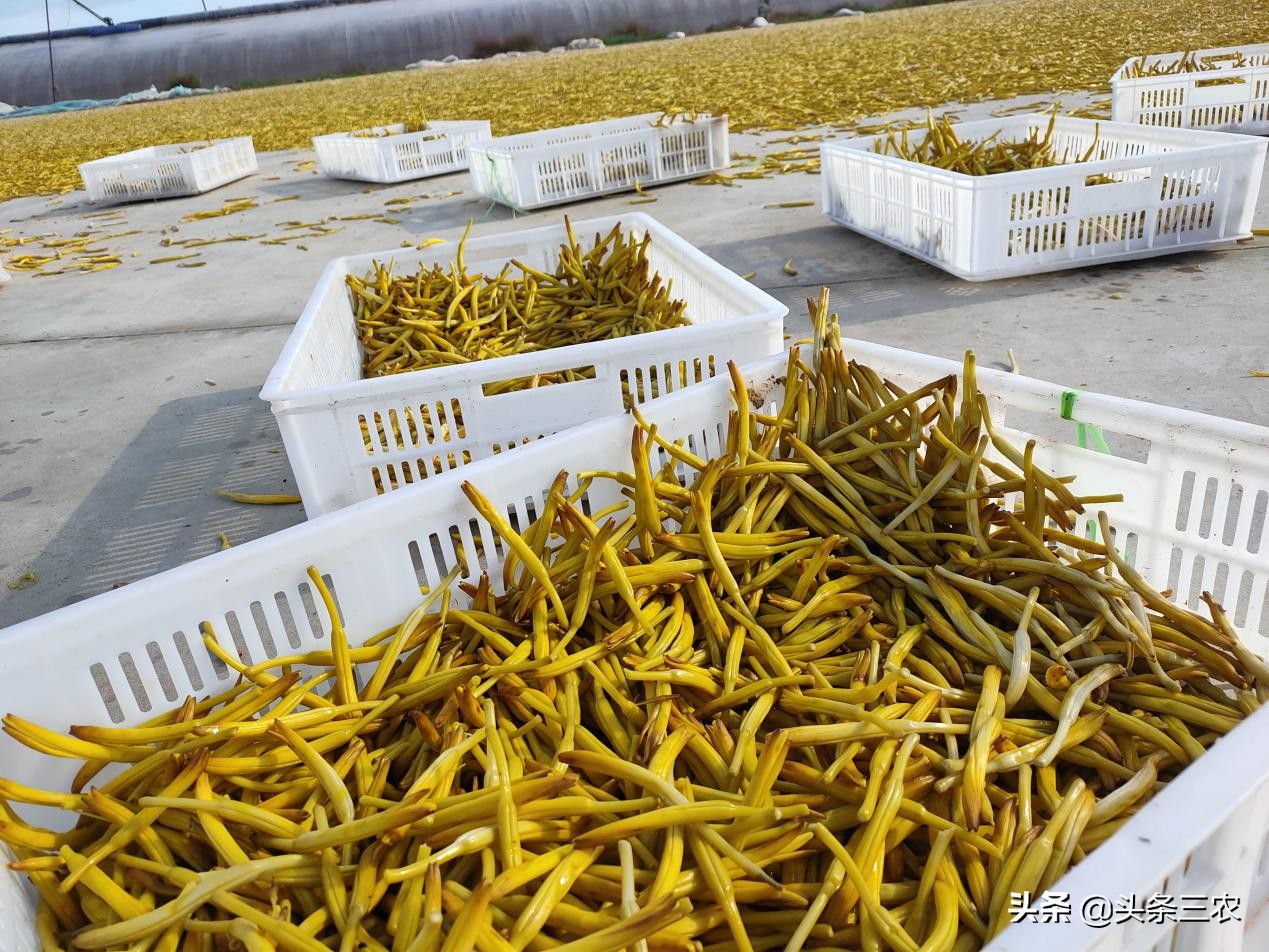 风物中华大好河山,滩羊之乡风物盐池