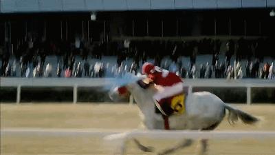 一人一马攀登高峰望故乡完整版,一人一马励志电影