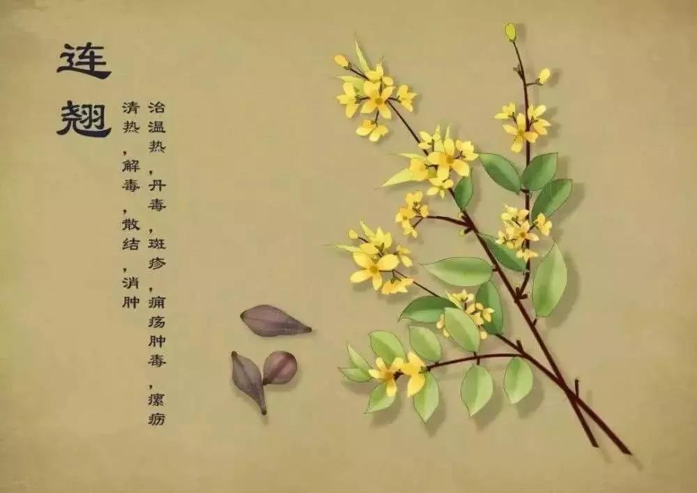 N95口罩、双黄连口服液一夜脱销，这些英语表达你都知道吗？