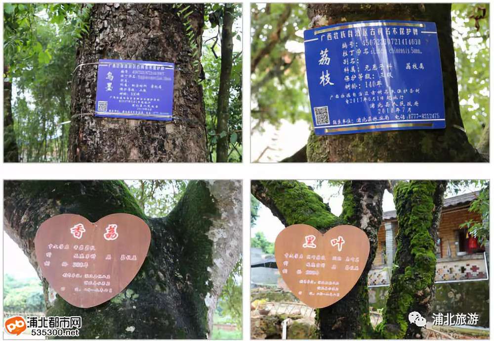 广西浦北钦州旅游详细攻略,广西浦北5a级景区