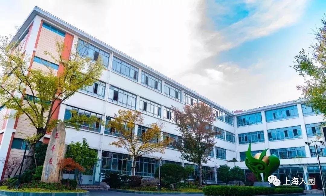 最新的青少年足球特色学校,浦东新区足球特色小学