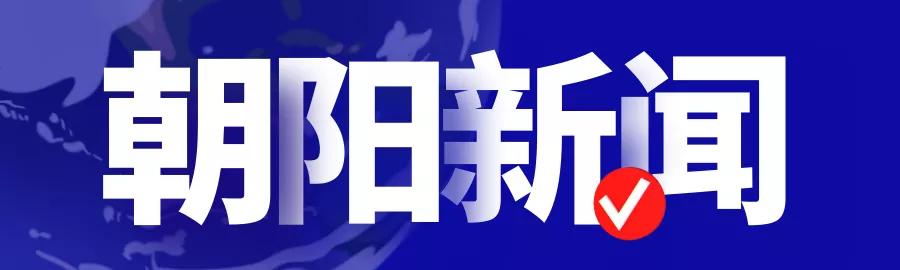 2024年中石化校招啥时候公布结果,中石化2024校招多久出面试通知